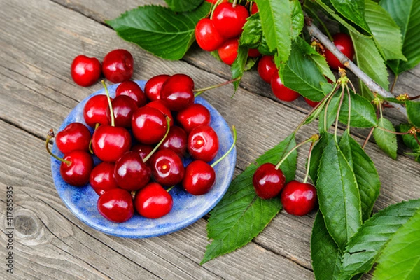 Obraz Sweet cherry berries in a blue plate