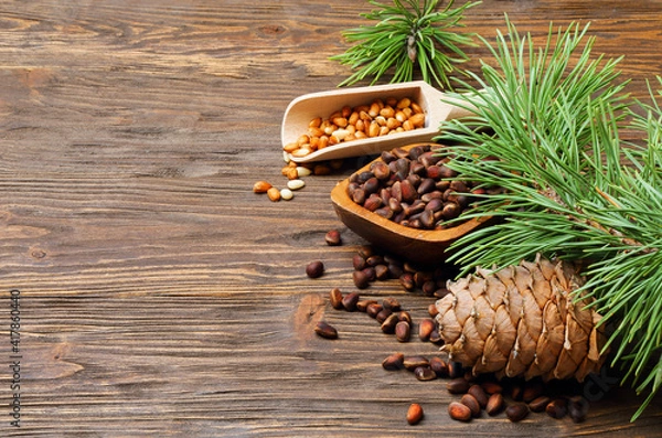 Obraz Pine nuts and pine cone on wooden background, place for text