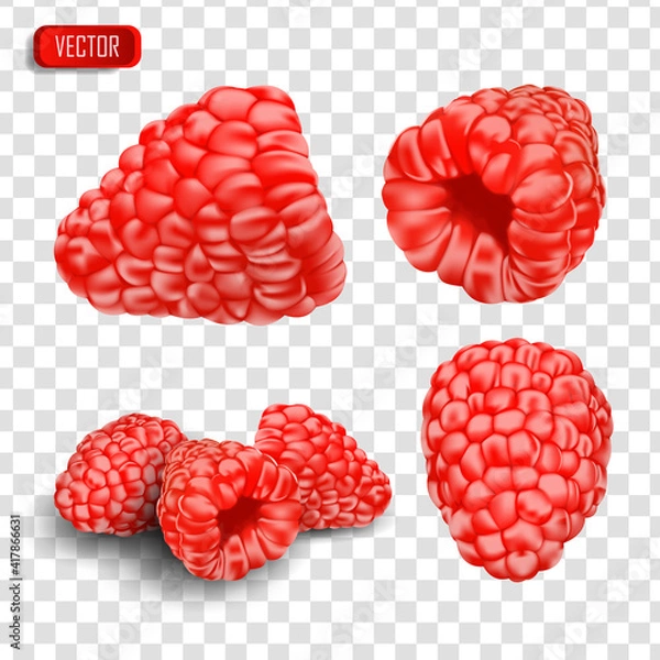 Fototapeta Set of realistic raspberries. Vector illustration of berries isolated on transparent background