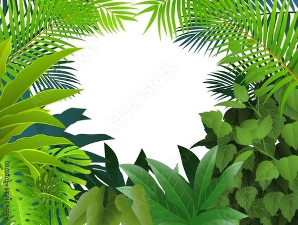 Obraz Tropikalne tło lasu