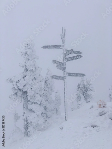 Obraz Snow Signpost Whiteout