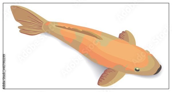 Fototapeta Red and gold koi fishes vector design elements. Illustration for web design, logo, icon, app, UI