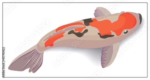 Fototapeta Red and gold koi fishes vector design elements. Illustration for web design, logo, icon, app, UI