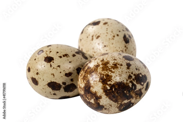 Obraz Boiled spotted quail eggs  isolated on white background.  Healthy Food Products Concept