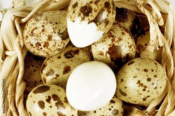 Obraz Boiled spotted quail eggs in a wicker basket, isolated on white background.  Healthy Food Products Concept.