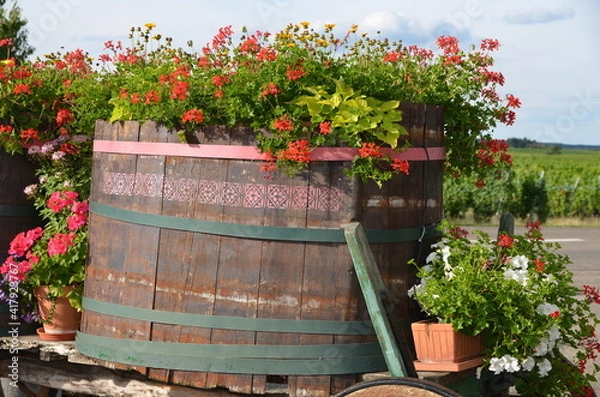 Obraz Tonneau fleuri