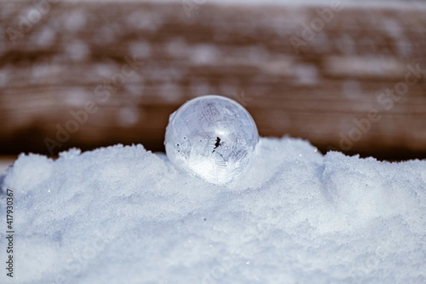 Obraz Frost Bubble 