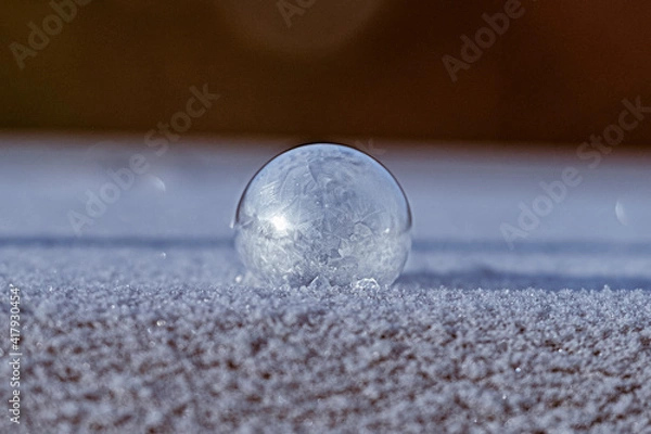 Obraz Frost Bubble 