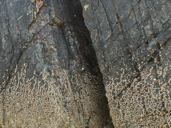 Fototapeta Rocks with straight edges on a beach