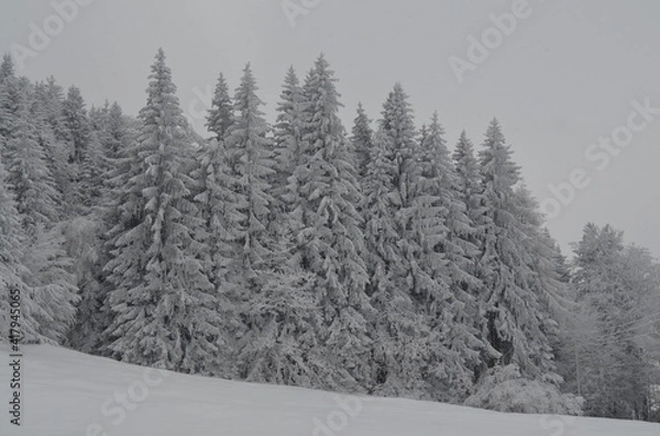 Obraz Winterzauberwald