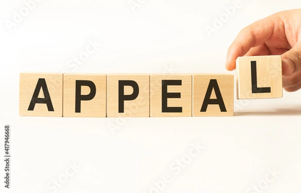 Fototapeta Word appeal. Wooden small cubes with letters isolated on white background with copy space available