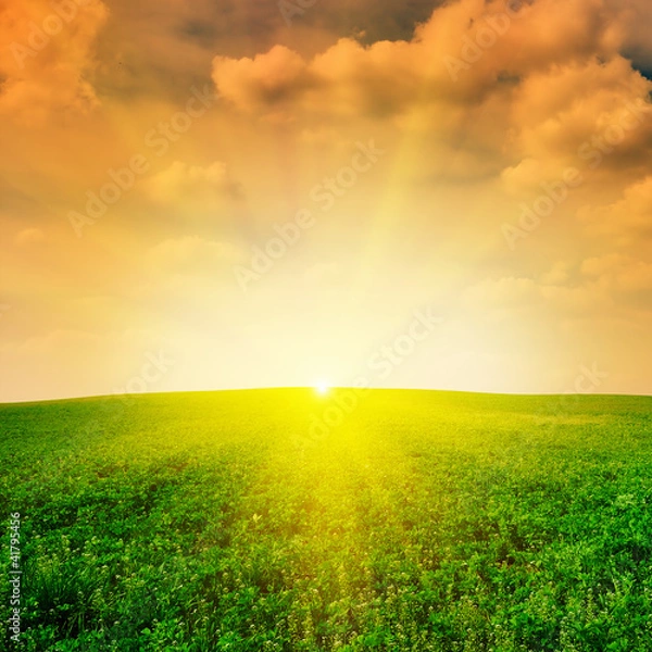 Obraz Beautiful sunset