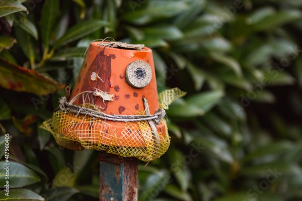 Fototapeta red lantern on a tree
