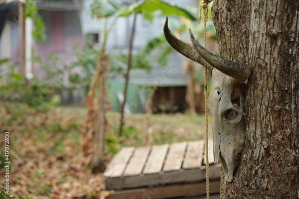 Obraz tree in the forest