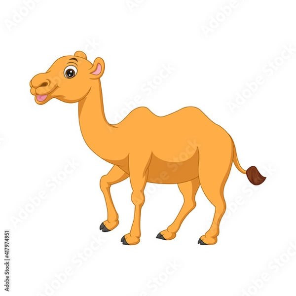 Obraz Cute camel cartoon on white background