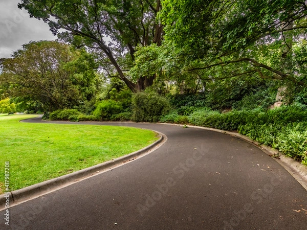 Fototapeta Curvy Path