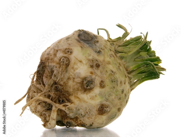 Obraz celeriac