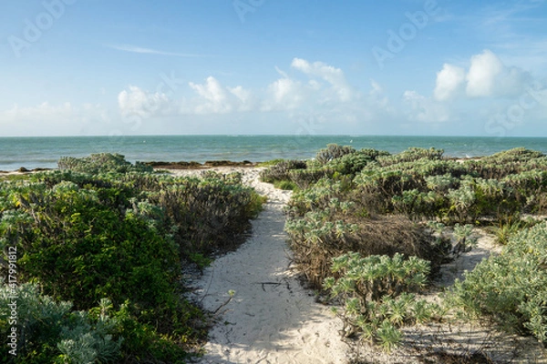 Fototapeta Bahia Honda State Park in the Florida Keys in 2021.