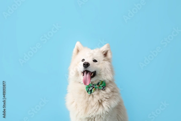 Obraz Cute dog with bowtie on color background. St. Patrick's Day celebration