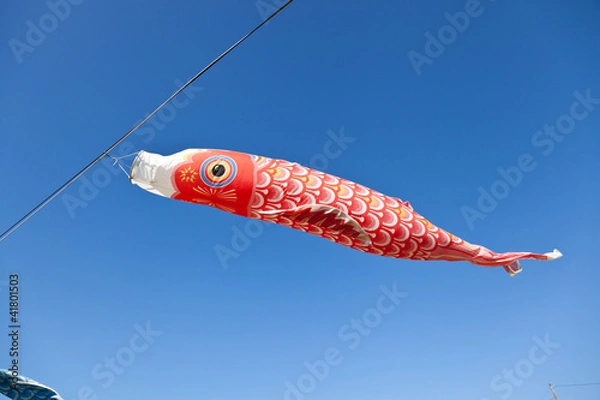 Fototapeta Carp streamer