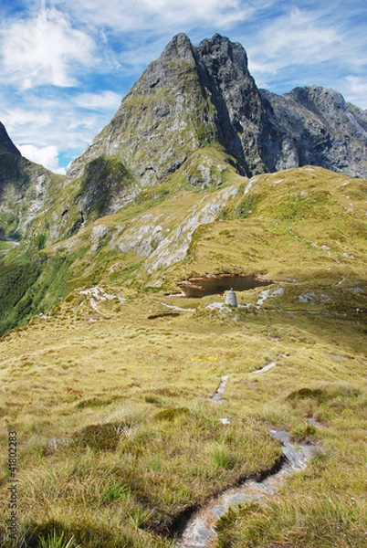 Obraz Mackinnon Pass, Milford track