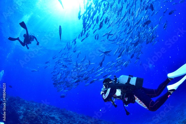 Fototapeta 沖縄、粟国島のギンガメアジとダイバー