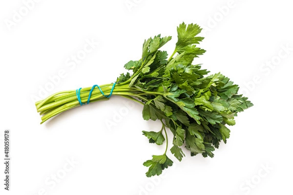 Fototapeta Green bunch of parsley with a blue elastic band, on a white background