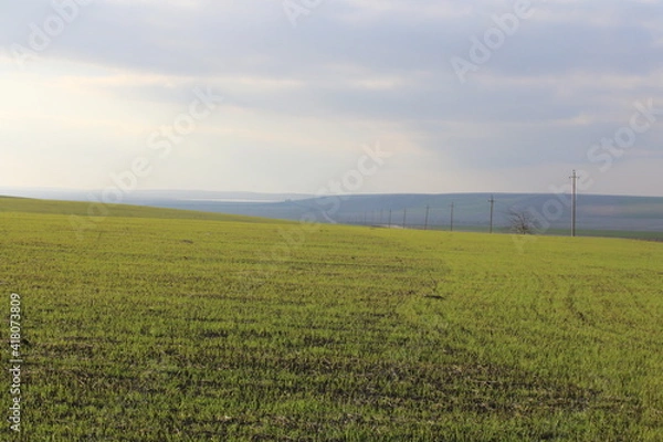 Obraz field landscape