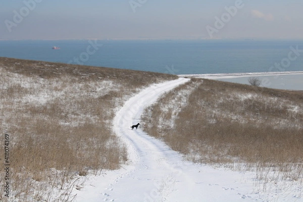 Obraz Sea beach walk