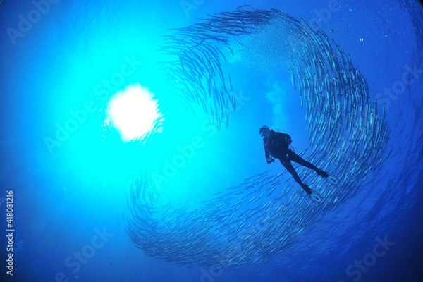 Obraz 魚のトルネードの中のダイバー