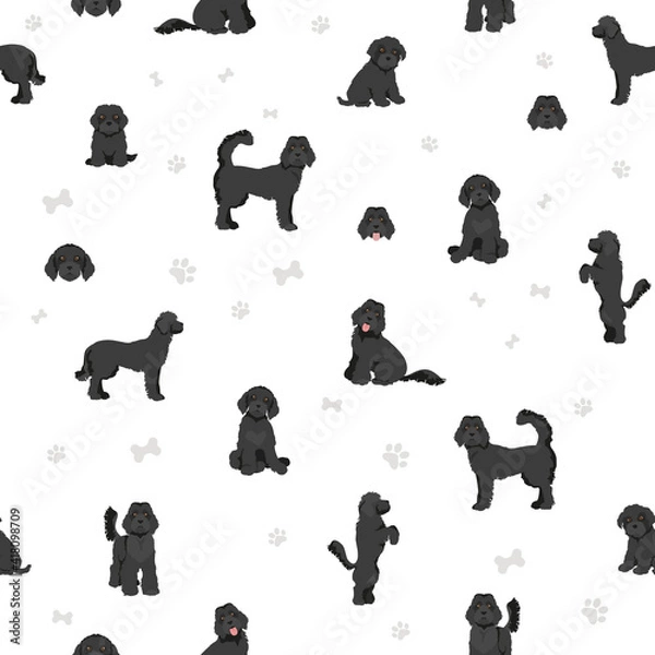 Fototapeta Labradoodle seamless pattern.  Different poses, coat colors set.