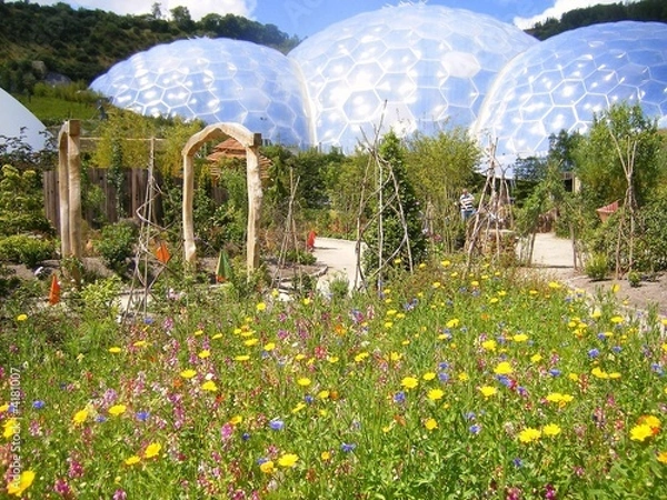 Obraz The Eden Project - Wildflower Garden