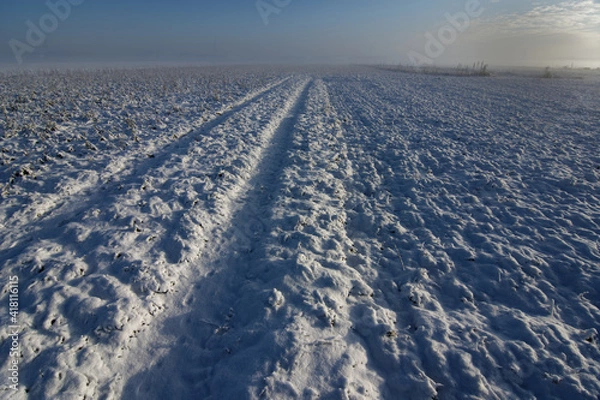 Obraz tracks in snow