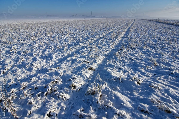 Obraz snow covered field