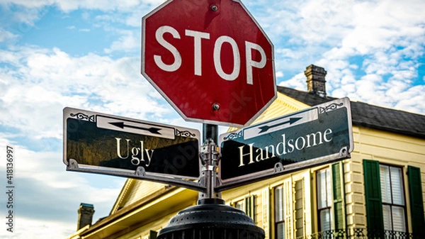 Fototapeta Street Sign Handsome versus Ugly