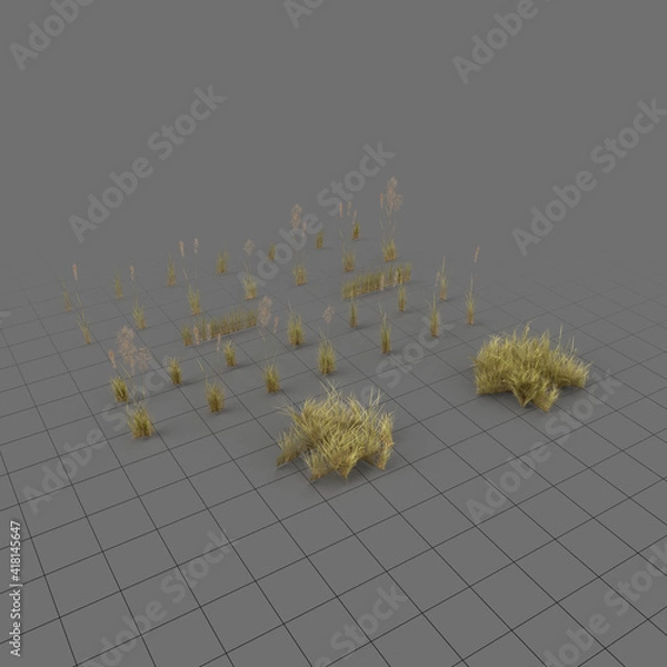 Fototapeta Low poly dry bentgrass