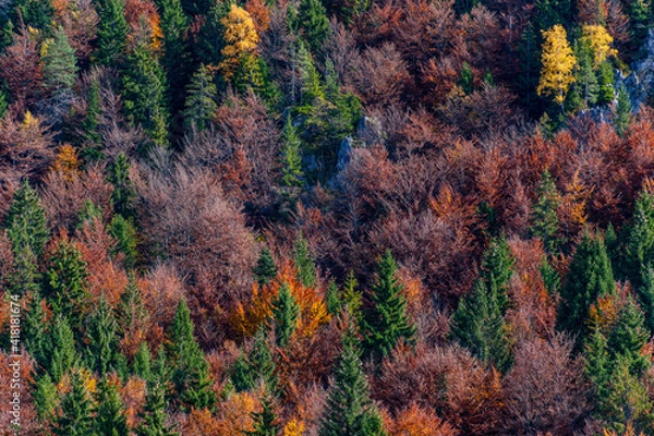 Obraz autumn in the mountains