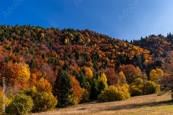 Obraz autumn in the mountains
