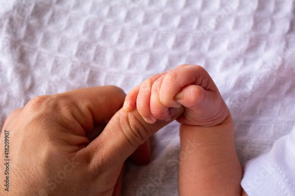 Obraz beautiful hands of a newborn baby on a white sheet