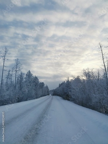 Obraz road in winter
