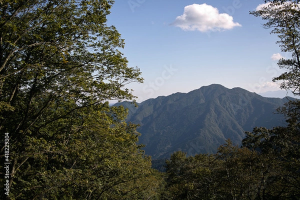 Obraz Mountain in Japan