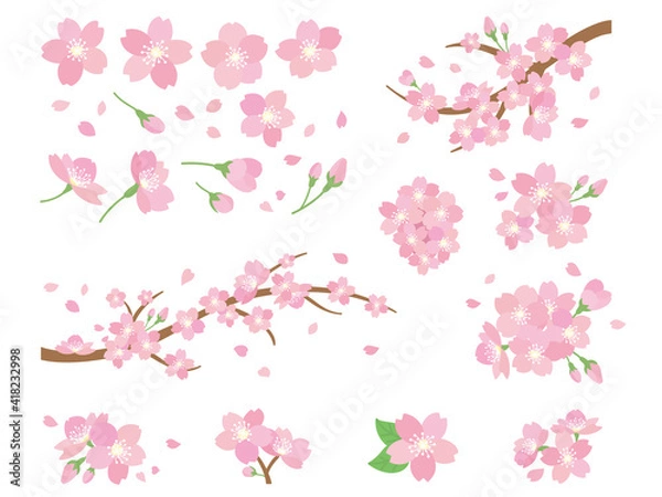 Obraz Ilustracja kwiatu wiśni sakura sakura wiosna