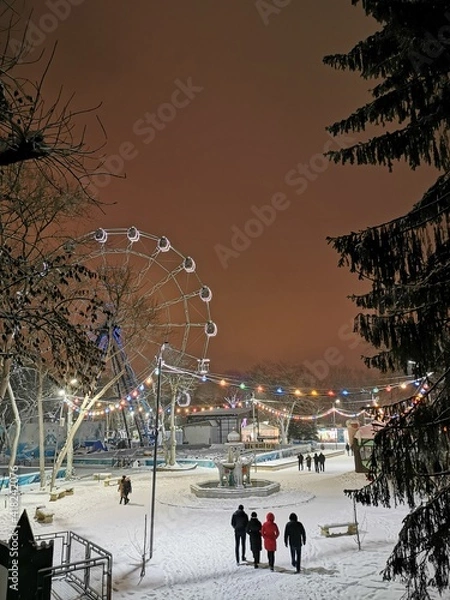 Obraz christmas tree at night