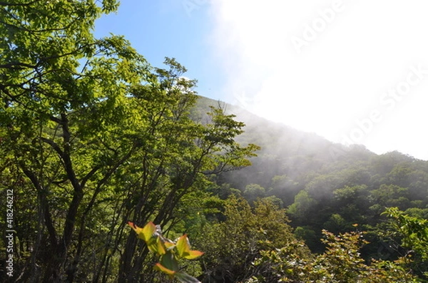 Fototapeta 赤城山