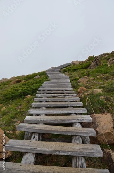 Fototapeta 至仏山