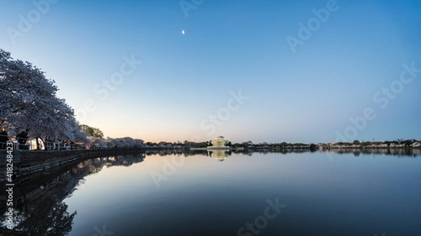Obraz Thomas Jefferson Memorial and cherry blossoms