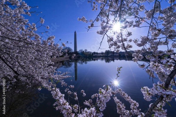 Obraz Washington monument