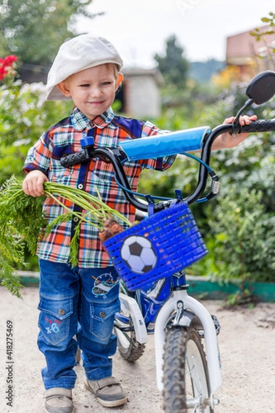 Fototapeta a child rides a bicycle with a basket for transporting vegetables, in which there is a carrot from the garden