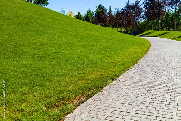 Obraz Park in the summer. Walkway and green lawn