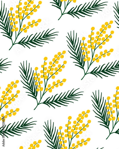 Fototapeta seamless pattern hand-drawn mimosa twigs